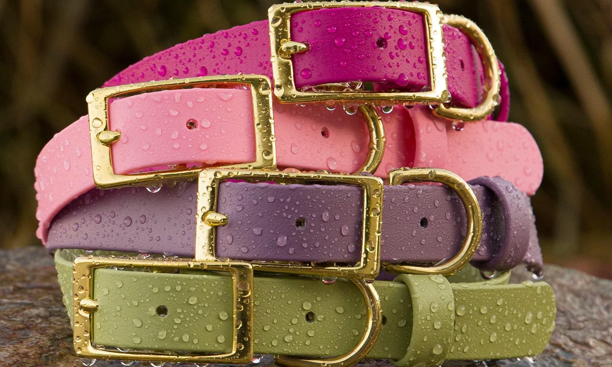 The Benefits of a BioThane® Waterproof Dog Collar