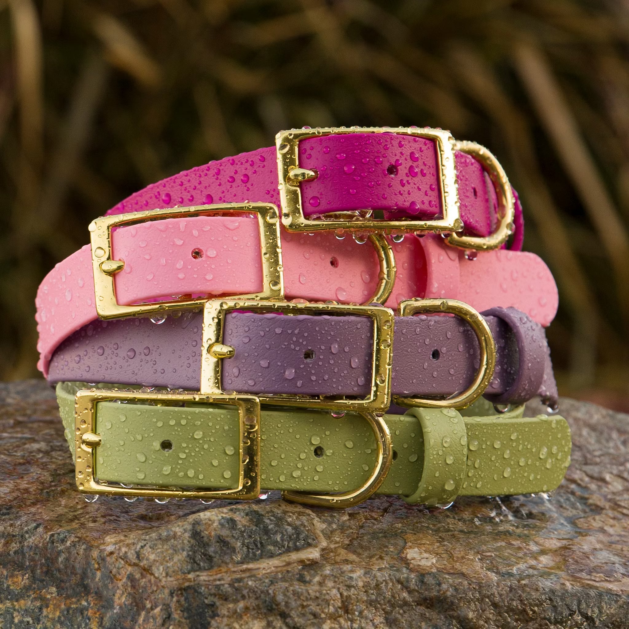 The Benefits of a BioThane® Waterproof Dog Collar