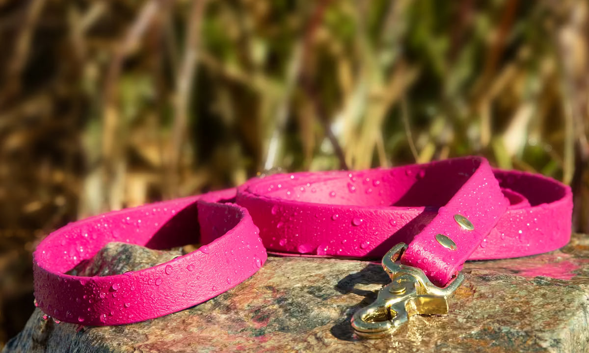 How Strong are Biothane Leashes