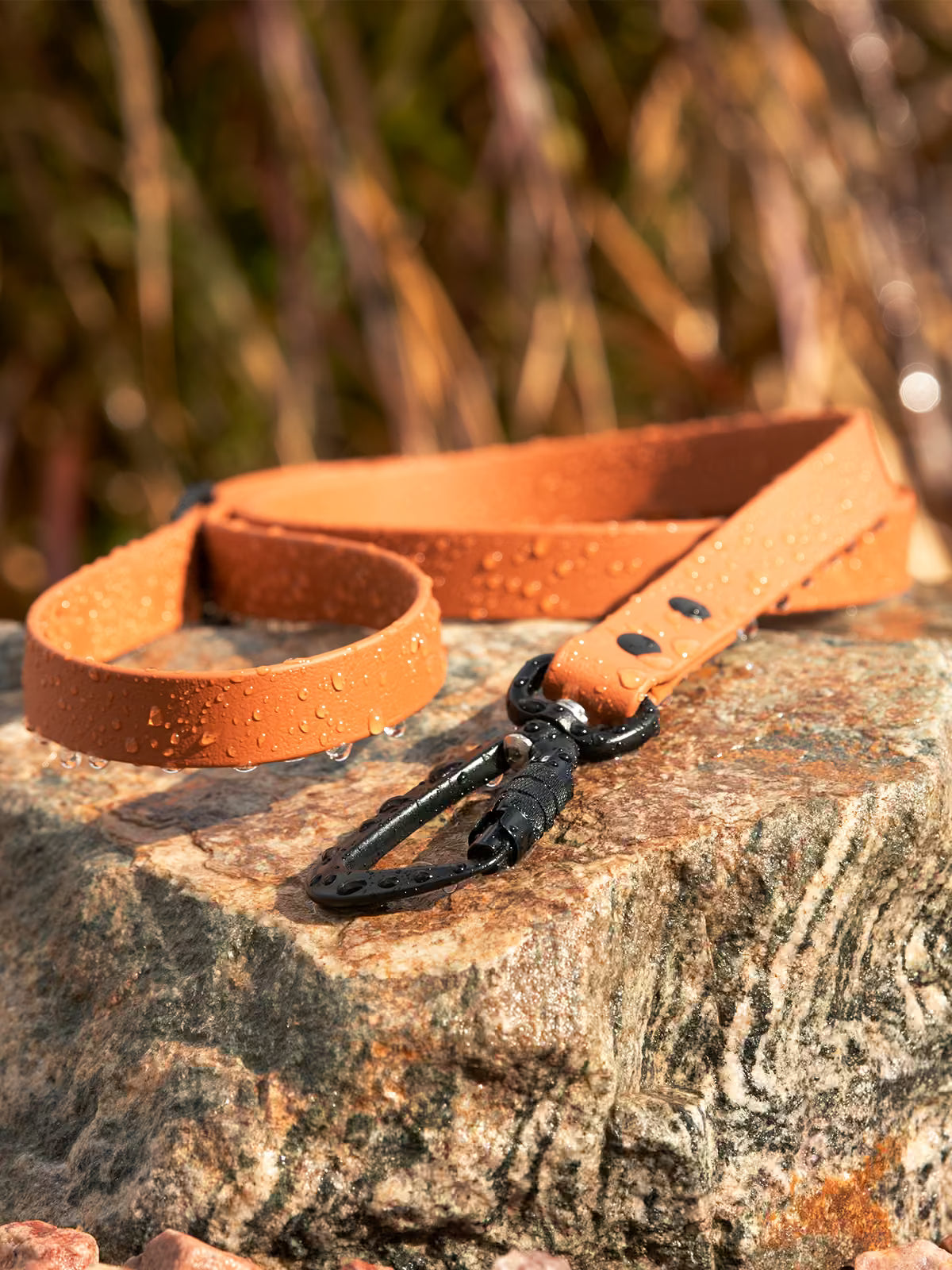 5 Essential Dog Leashes Every Owner Needs
