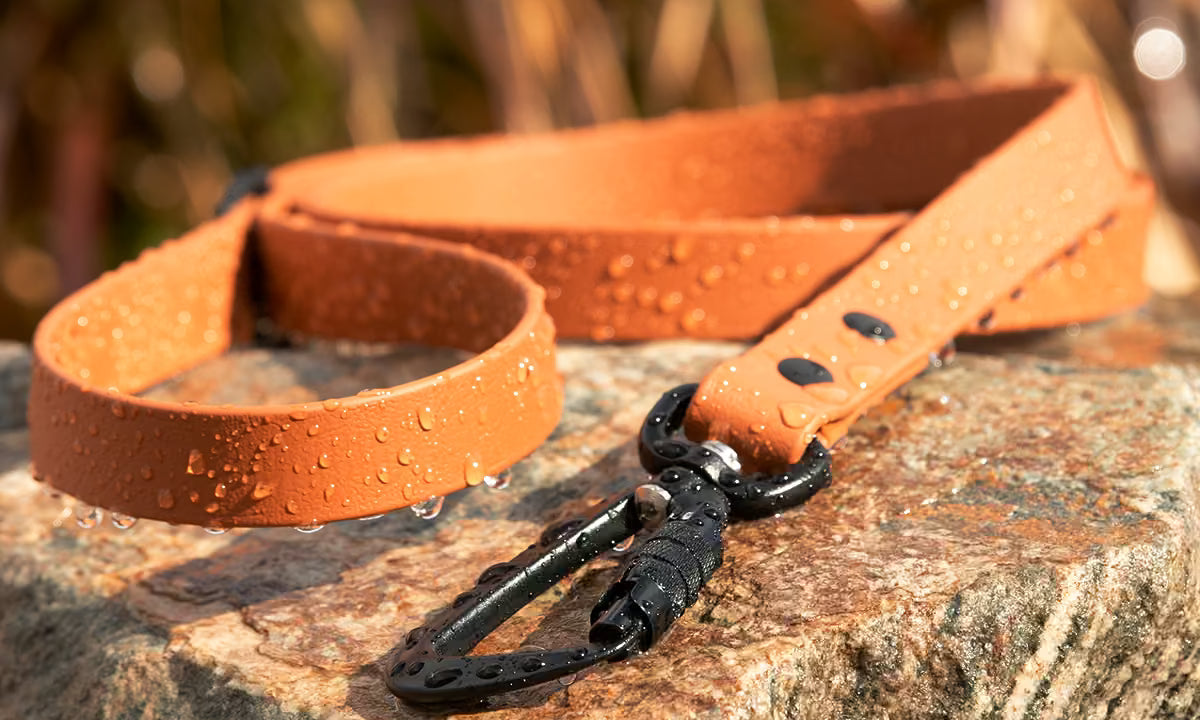 5 Essential Dog Leashes Every Owner Needs