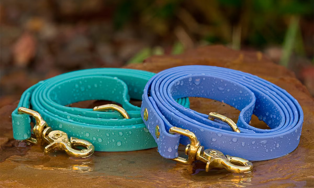 Waterproof Dog Gear: What It Really Means