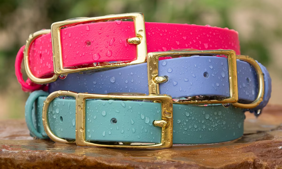 The Benefits of a BioThane® Waterproof Dog Collar