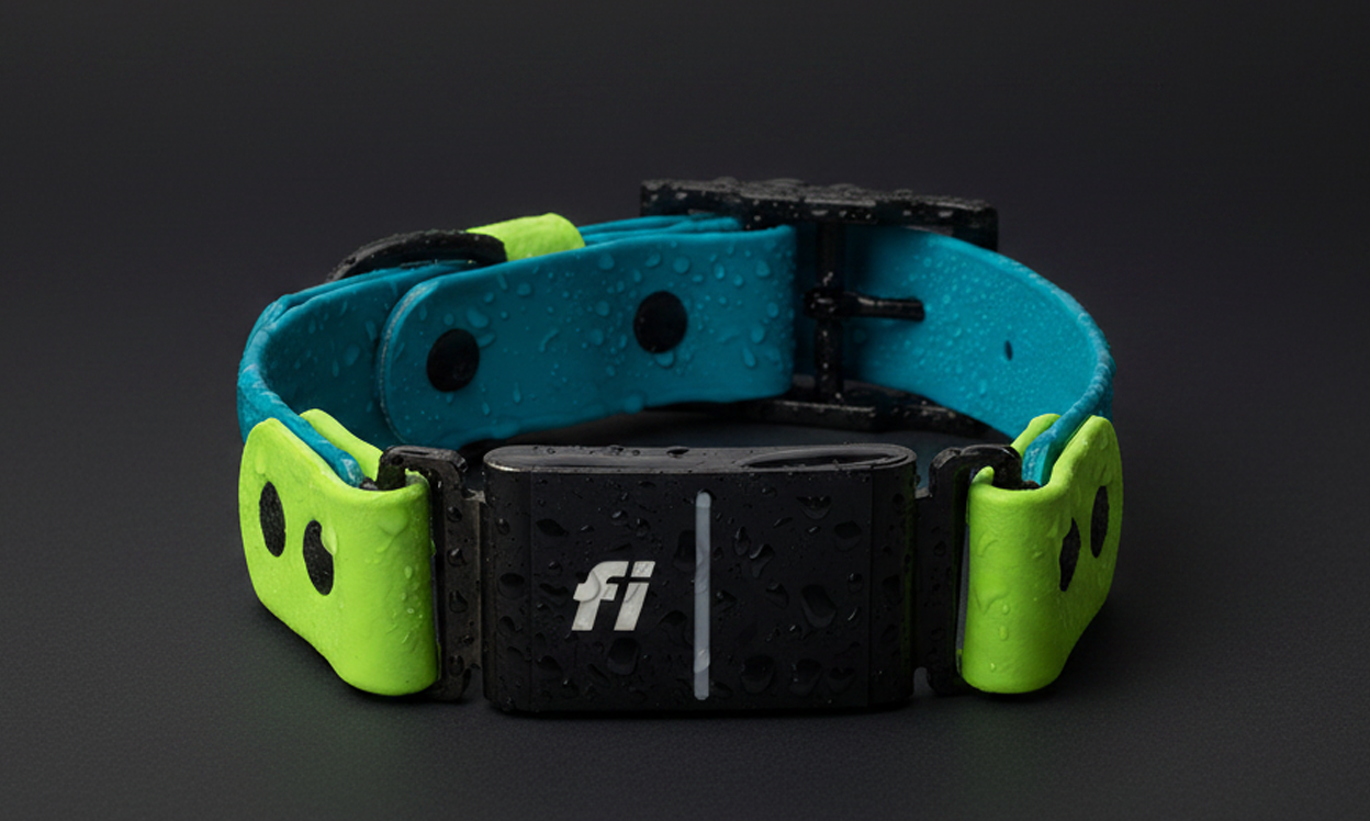 Fi Series 3/3+ Assembly Guide for Vivid Canine Collars