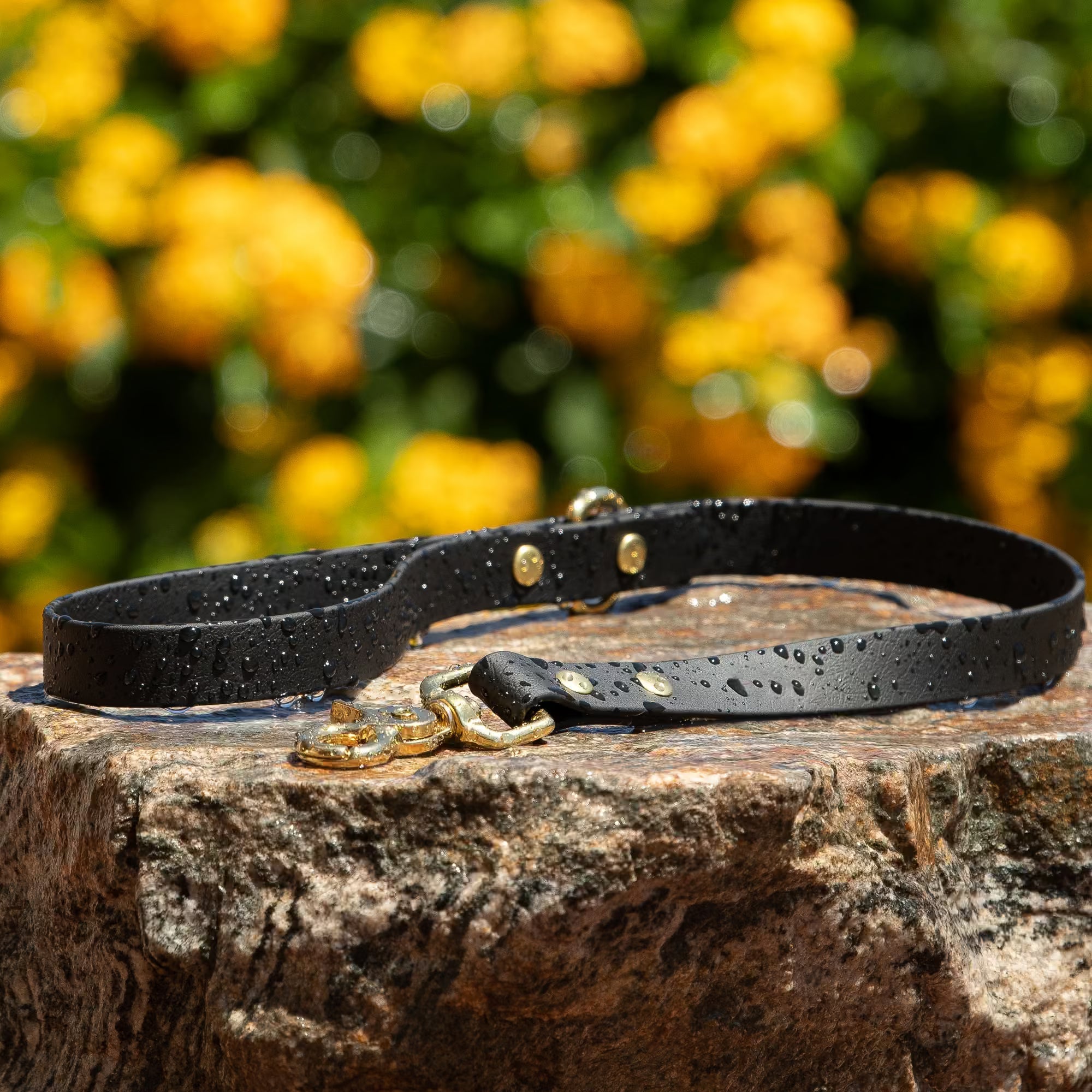 Black BioThane traffic leash being used for dog training close control