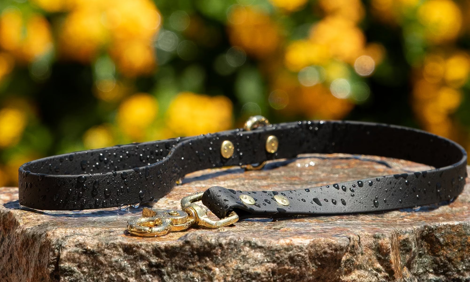 Black BioThane traffic leash being used for dog training close control