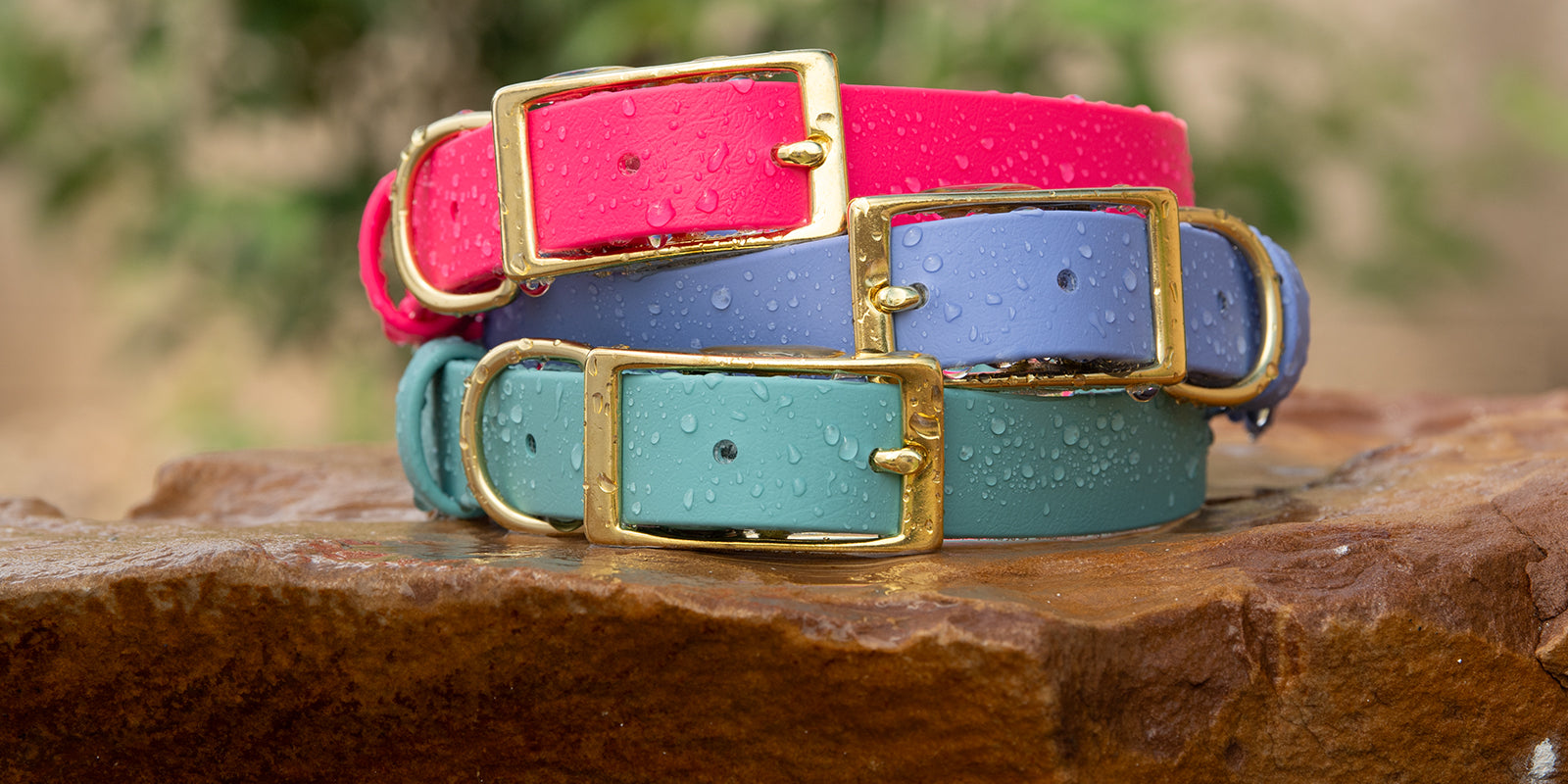 Stack of three BioThane collars with solid brass buckle hardwares