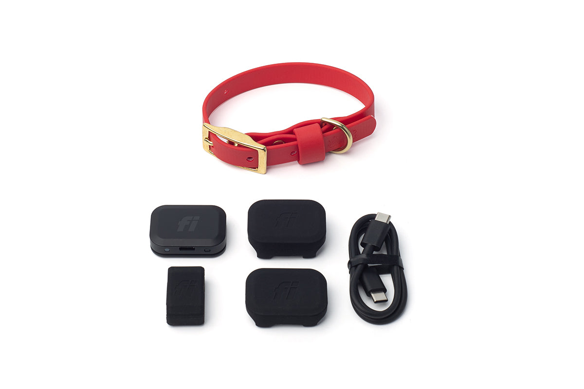 Fi Mini GPS collar bundle — black Fi box with red BioThane® buckle dog collar on white background