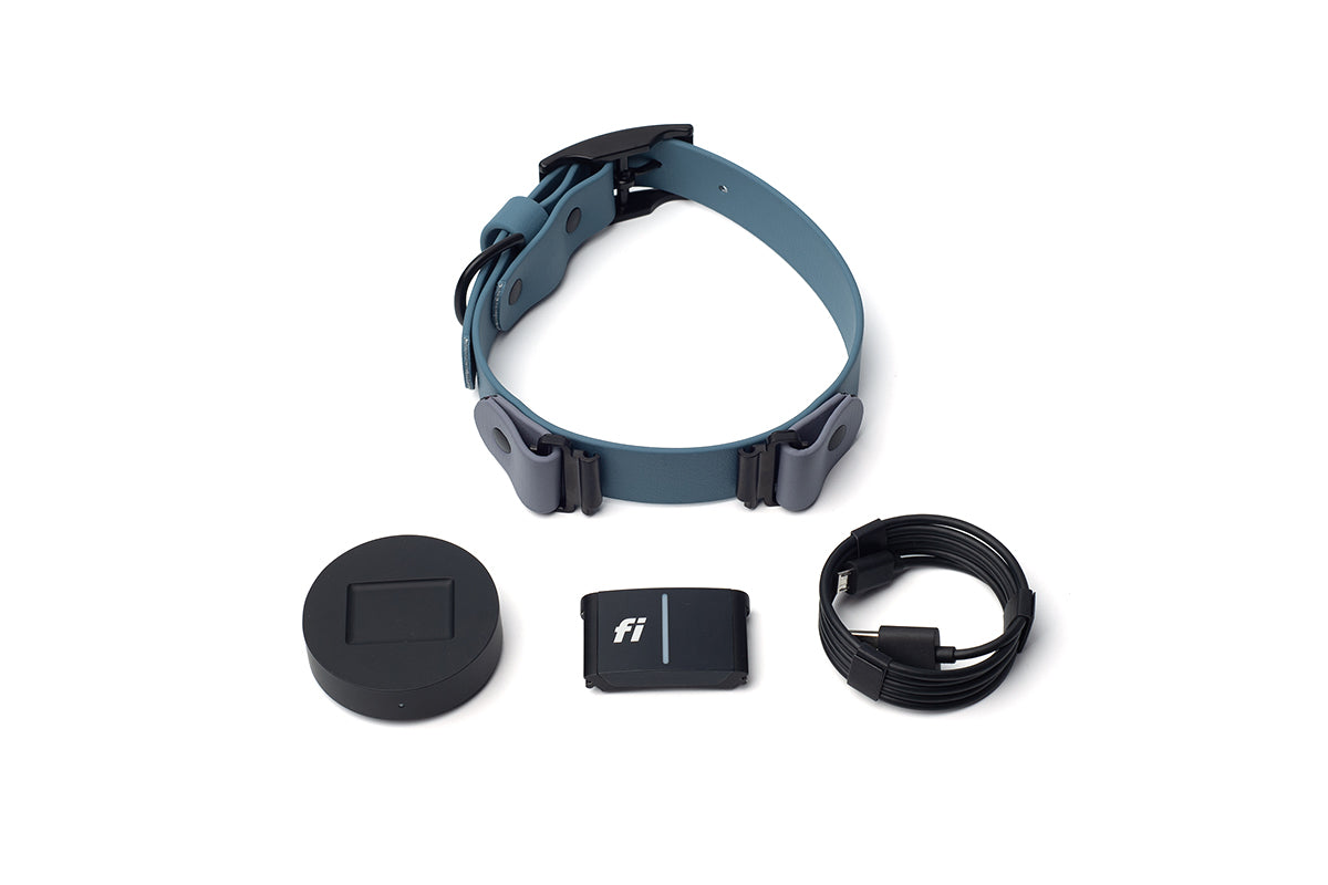 Fi Series 3+ GPS Dog Collar Set