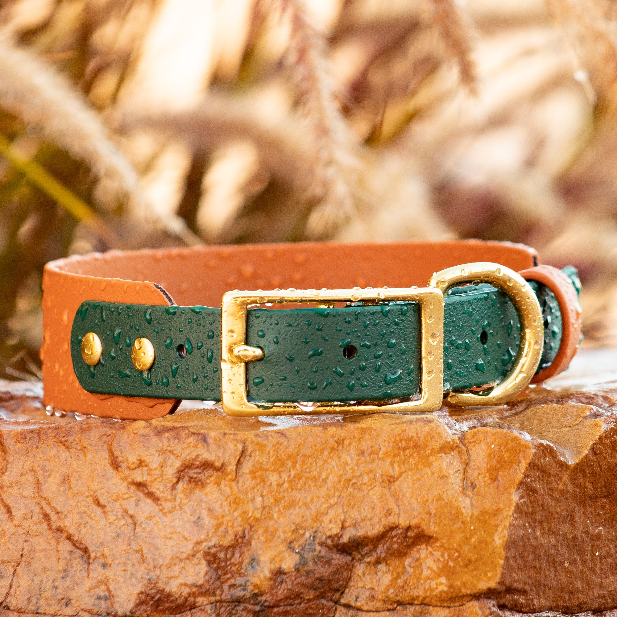 BioThane Waterproof Two Tone Collar