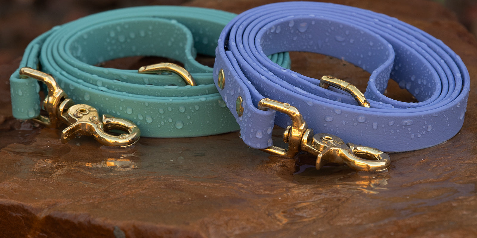 BioThane Waterproof Standard Dog Leashes in Dusty Turquoise and Periwinkle with solid brass trigger snap hardware