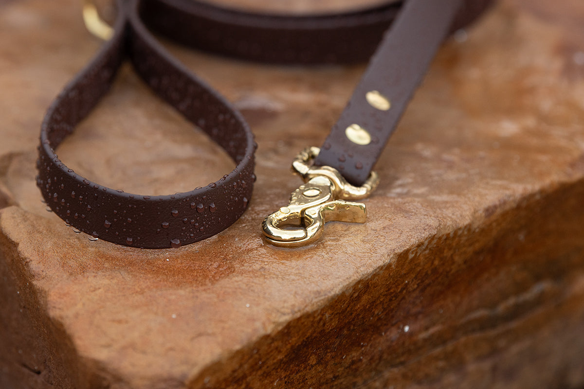 BioThane leash in Yellow with solid brass hardware