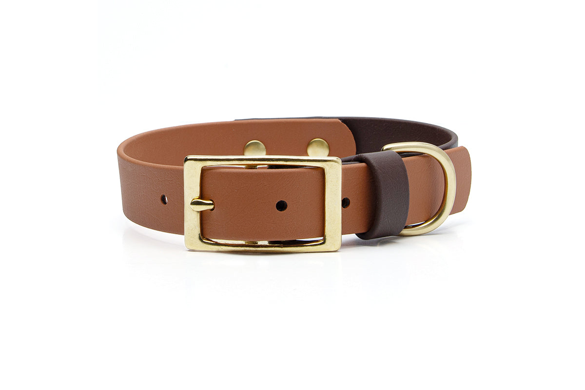 Two-tone buckle dog collar in caramel and espresso with brass buckle and hardware