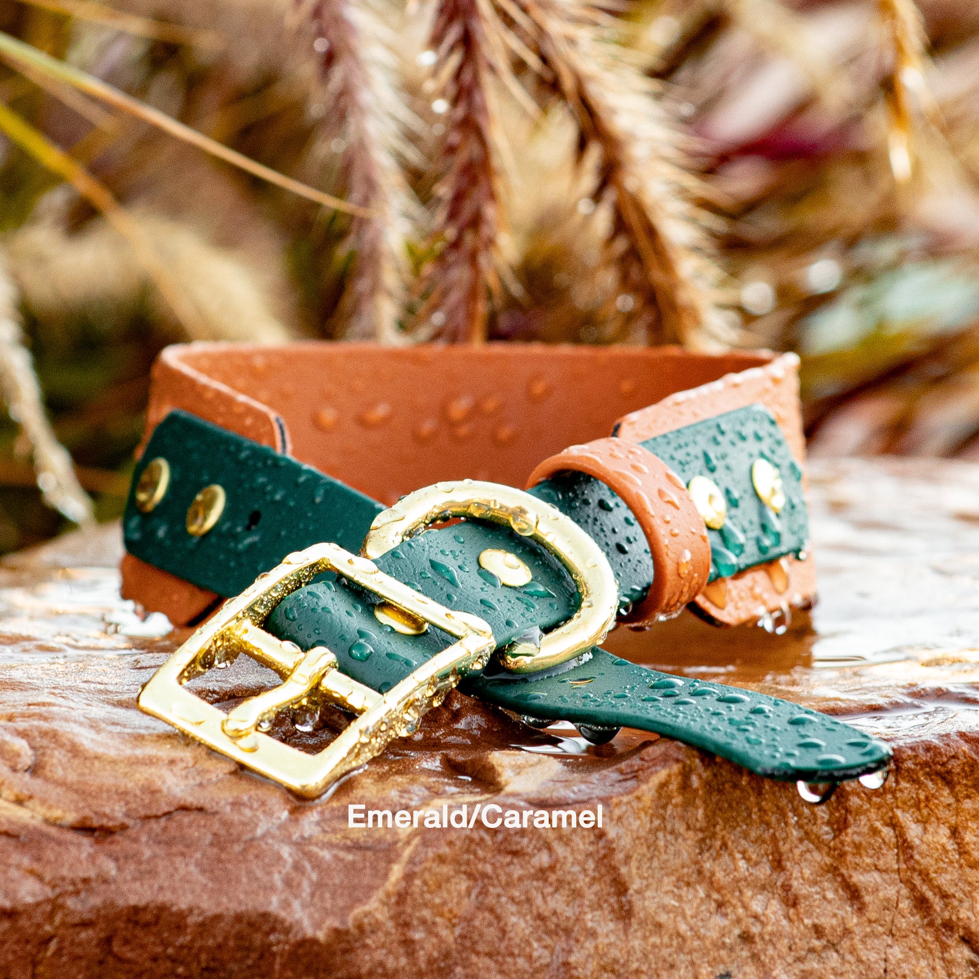 BioThane® Waterproof Two Tone Buckle Collar