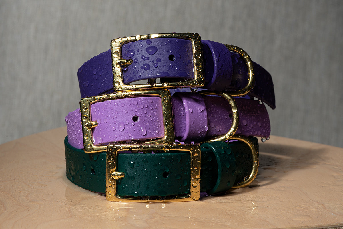 BioThane® Waterproof Dog Collars