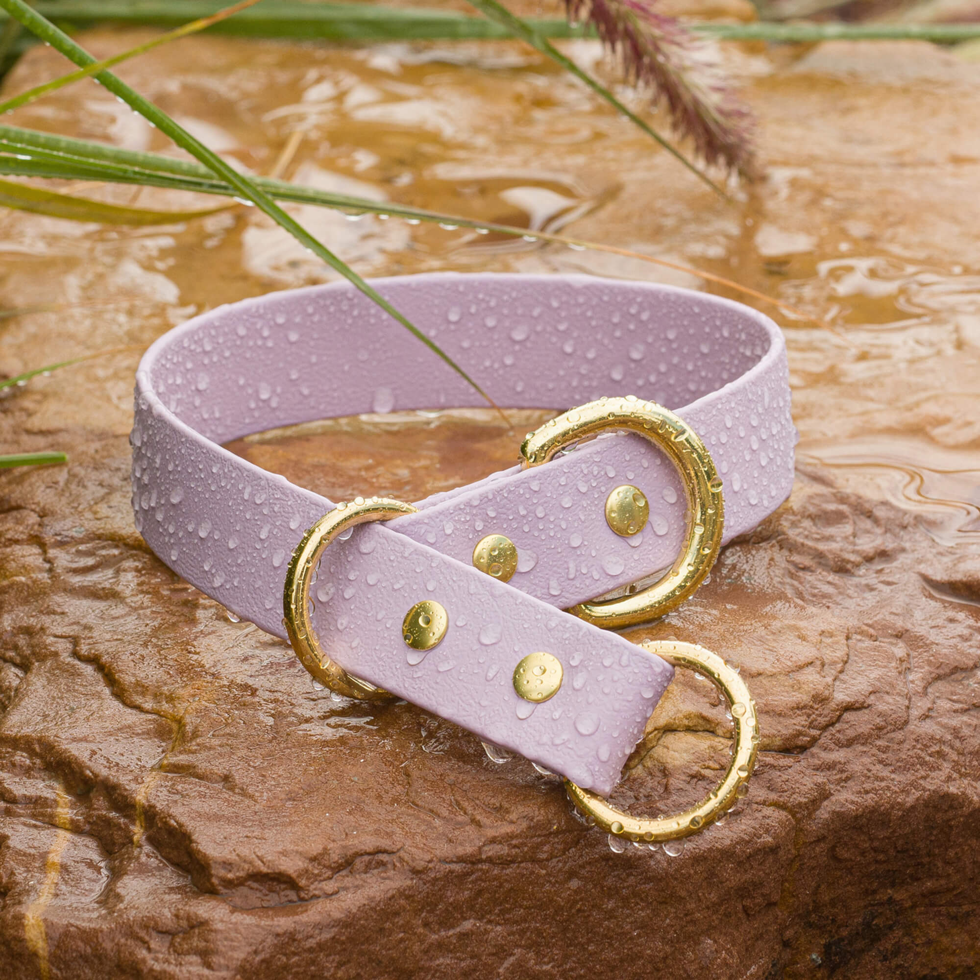 BioThane collar in Lilac with brass hardware