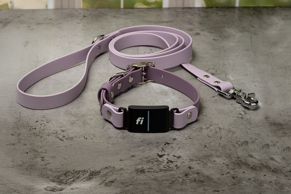 Fi Series 3/3+ BioThane® Walk Set