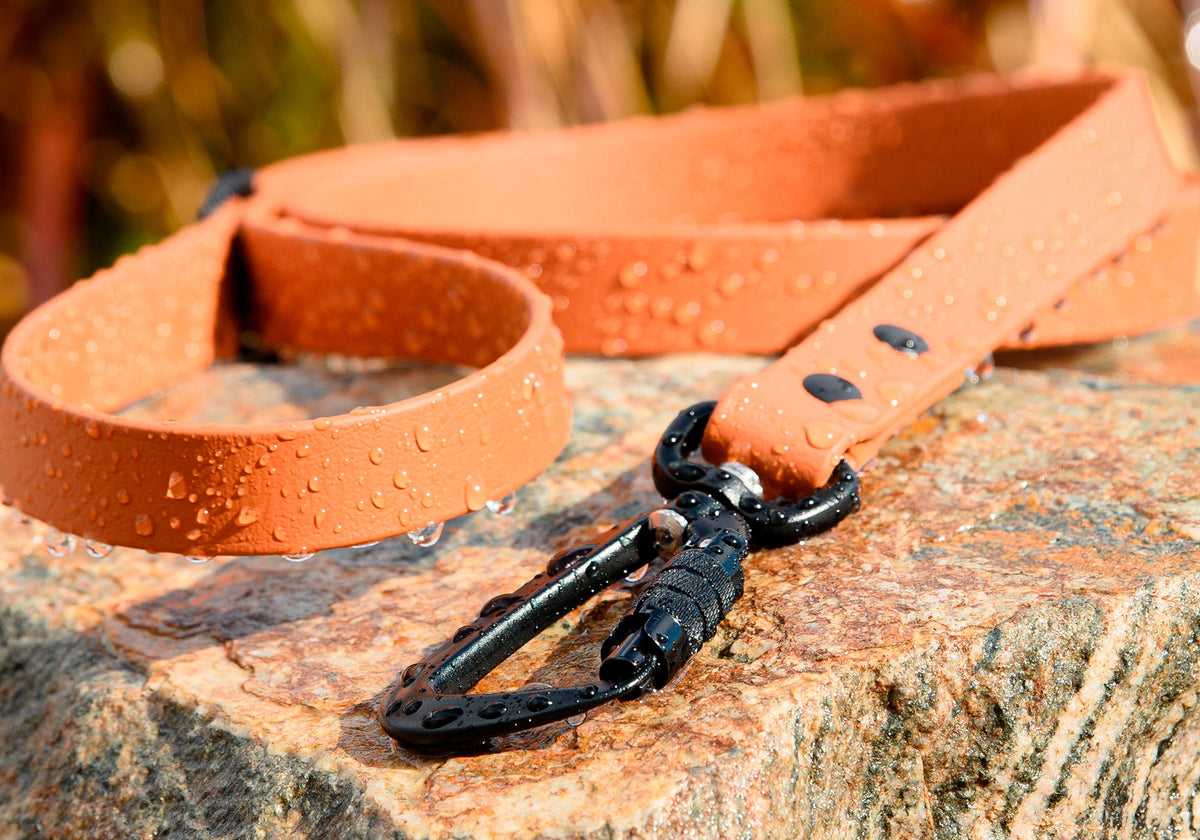 BioThane® Waterproof Standard Leashes