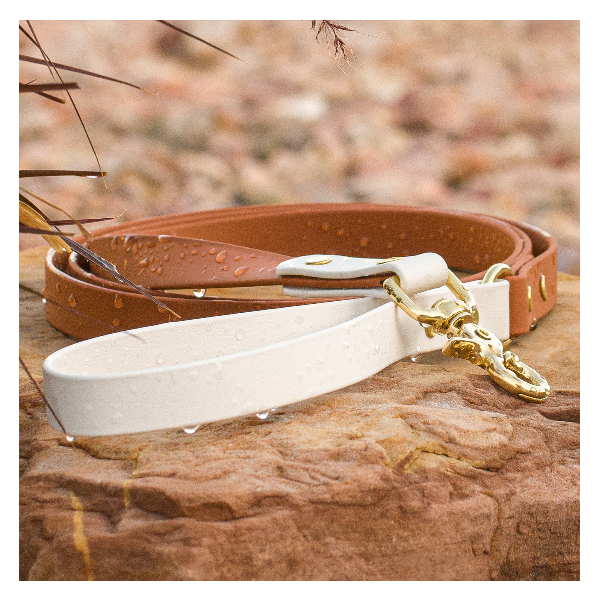 BioThane Waterproof Two Tone Dog Leash