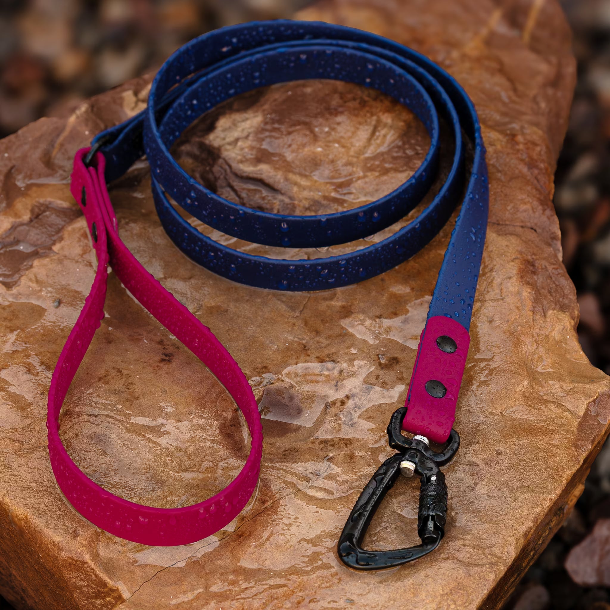 waterproof two-tone biothane dog leash with black carabiner in deep sea blue and magenta colors