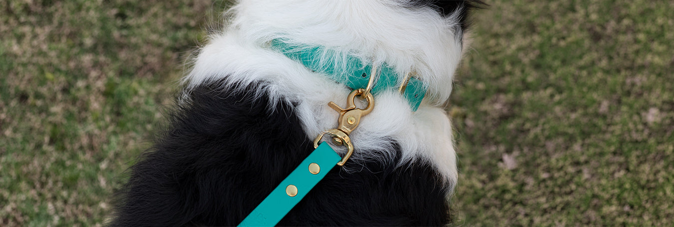 Waterproof BioThane dog leash and collar set in teal color. Available in multiple colors.