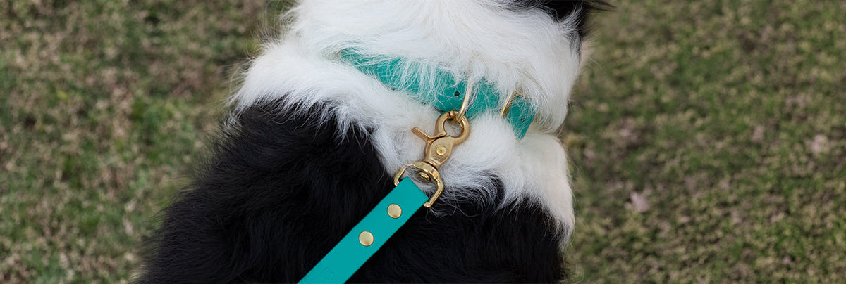 Waterproof BioThane dog leash and collar set in teal color. Available in multiple colors.