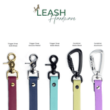 a collection of five different types of dog leashes, each with a unique color and design, arranged in a row.
