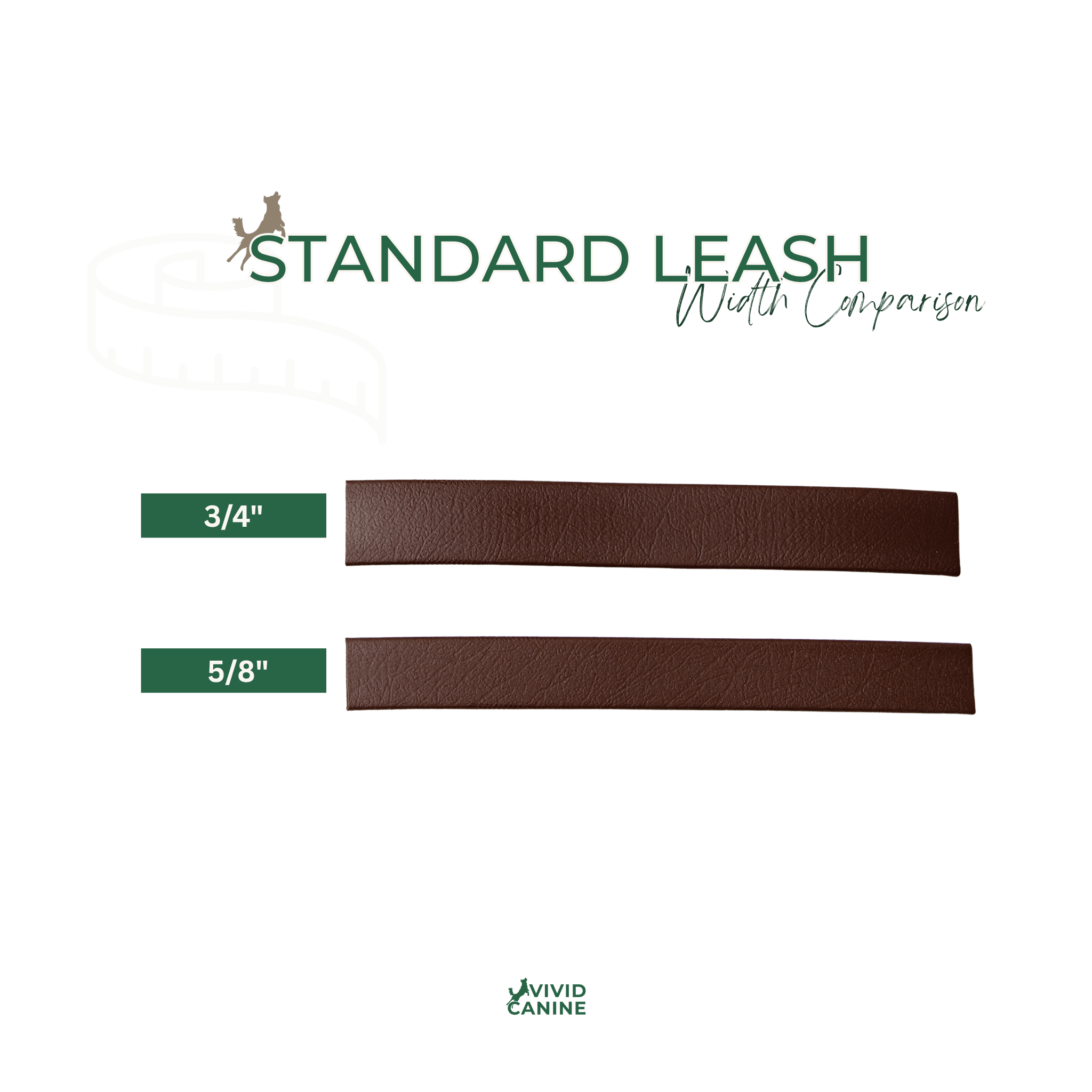 The image is a comparison of the width of two leather belts, with the text "Standard Leash Width Comparison" and the width measurements "3/4" and "5/8".
