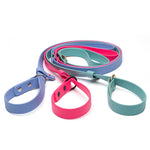 BioThane waterproof slip dog leash with nickel-plate, matte black and brass hardware options