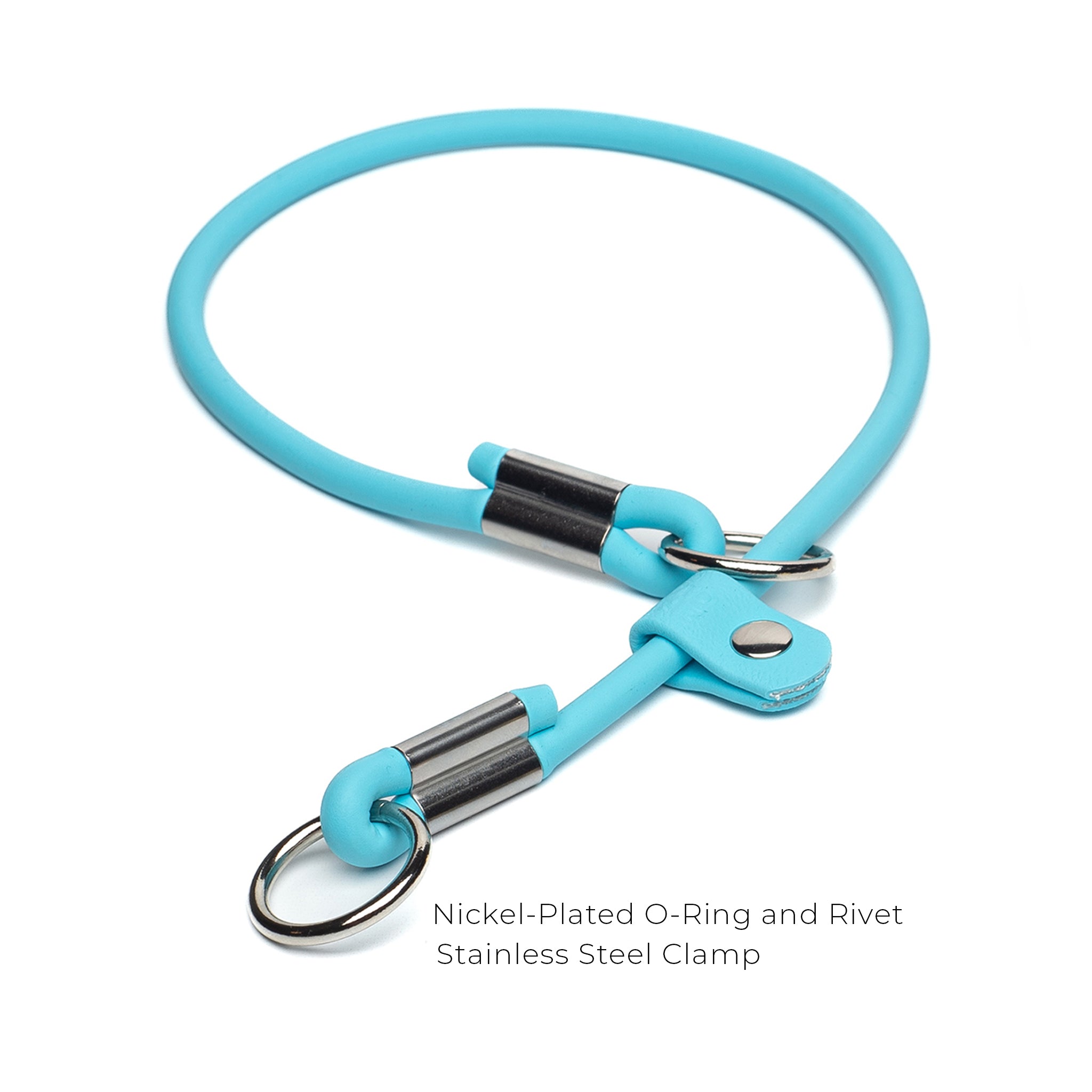 Light blue dog slip collar with nickel-plated O-ring and stainless steel clamp on a white background