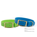 Two biothane buckle dog collars, one lime and one azure, with a solid brass buckle and d-ring on a white background.