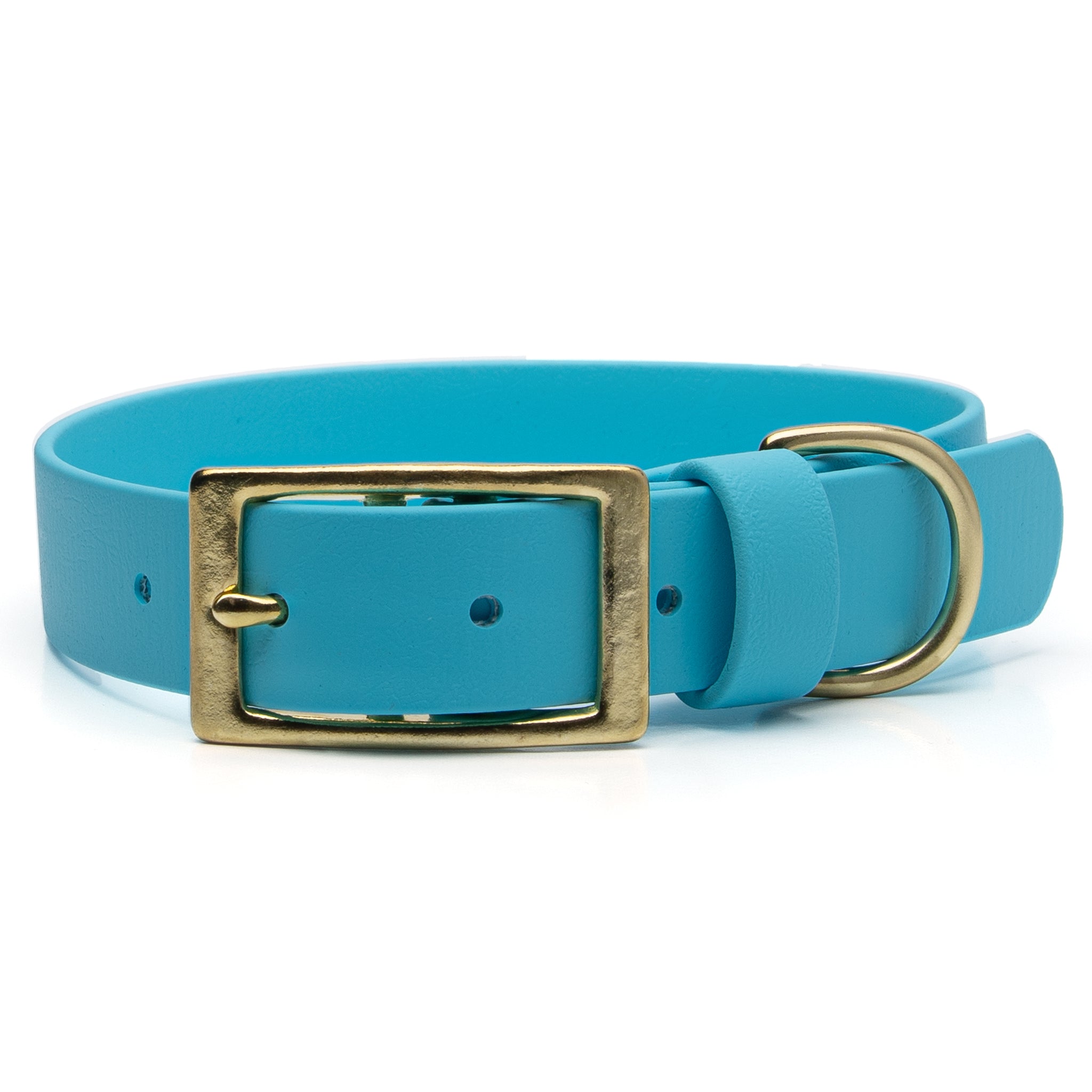 Sky blue dog collar with a gold buckle on a white background