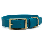 Ocean blue buckle dog collar with brass hardware on white background