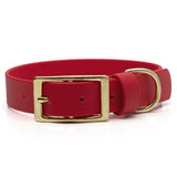 Red buckle dog collar with brass hardware on white background