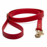 BioThane® Waterproof Dog Leash - Red