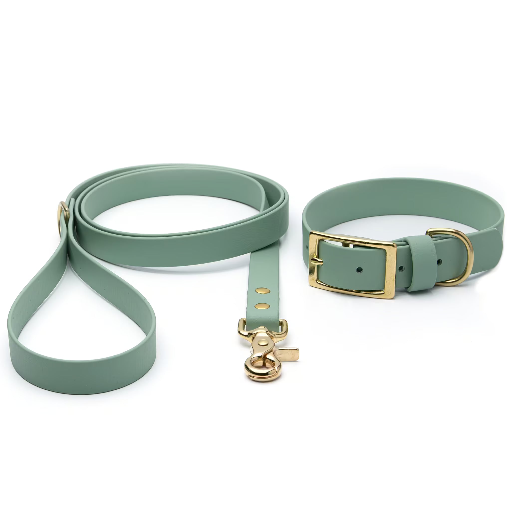 Waterproof BioThane dog leash and collar set in Sage