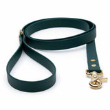BioThane® Waterproof Dog Leash - Emerald