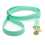 BioThane® Waterproof Dog Leash - Seafoam