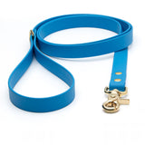 BioThane® Waterproof Dog Leash - Azure