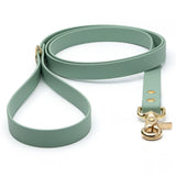 BioThane® Waterproof Dog Leash - Sage Green