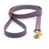 BioThane® Waterproof Dog Leash - Mauve