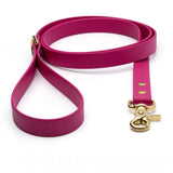 BioThane® Waterproof Dog Leash - Magenta