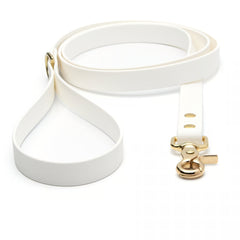 BioThane® Waterproof Dog Leash - White