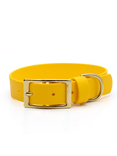 Yellow Biothane dog collar with a brass buckle on a white background