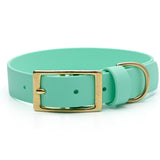 BioThane® Waterproof Buckle Dog Collar - Seafoam