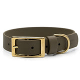 BioThane® Waterproof Buckle Dog Collar - Olive