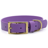 BioThane® Waterproof Buckle Dog Collar - Amethyst