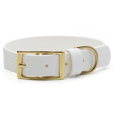 BioThane® Waterproof Buckle Dog Collar - White