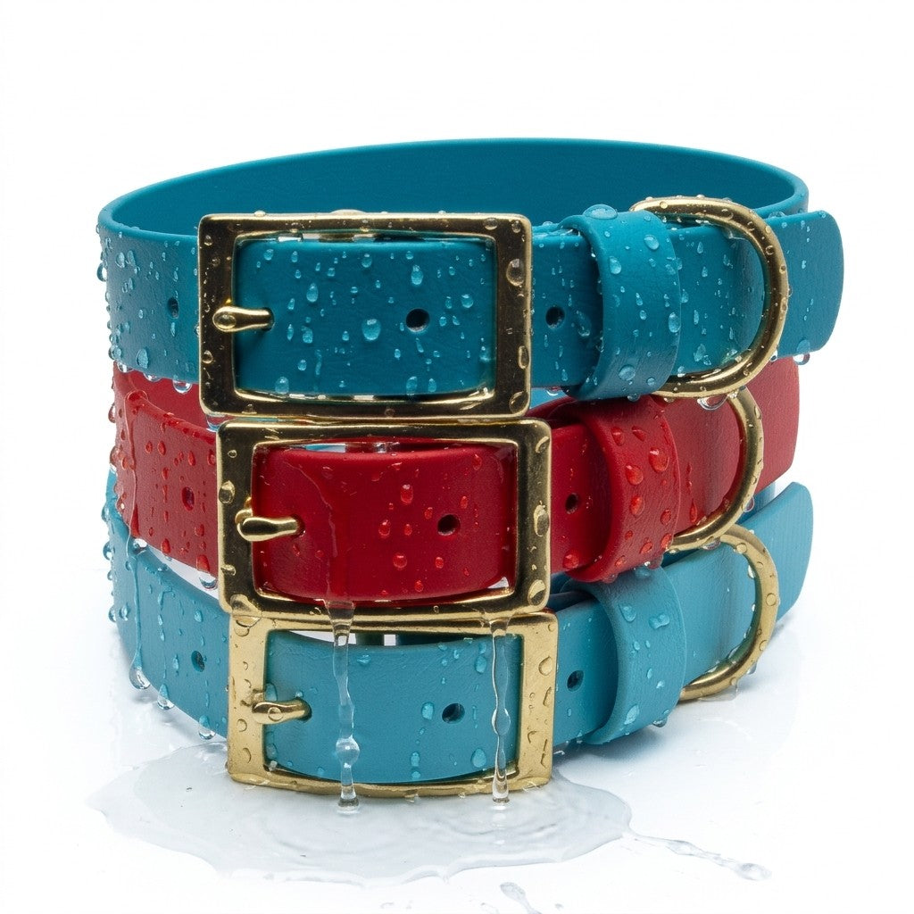 Vivid Canine BioThane® waterproof dog collar being rinsed with water