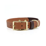 Two-tone buckle dog collar in caramel and espresso with brass buckle and hardware